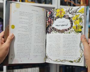 کتاب مصور هری پاتر و سنگ جادو به فارسی فصل آن سوی دریچه