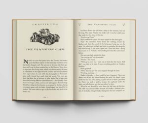 کتاب Harry Potter and the Sorcerer's Stone هری پاتر و سنگ جادو زبان اصلی