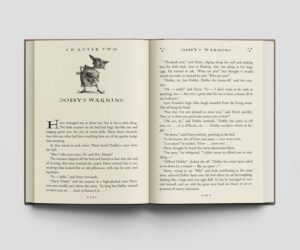 کتاب Harry Potter and the Chamber of Secrets هری پاتر و تالار اسرار زبان اصلی