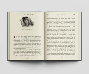 کتاب Harry Potter and the Goblet of Fire هری پاتر و جام آتش زبان اصلی