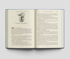 کتاب Harry Potter and the Order of the Phoenix هری پاتر و محقل ققنوس زبان اصلی