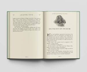 کتاب Harry Potter and the Half-Blood Prince هری پاتر و شاهزاده دورگه زبان اصلی