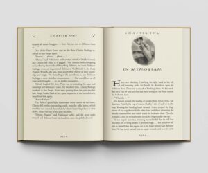 کتاب Harry Potter and the Deathly Hallows هری پاتر و یادگاران مرگ زبان اصلی