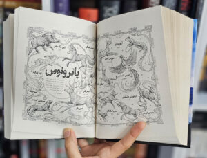 کتاب گنجینه هری پاتر داستان‌های ناگفته دنیای جادوگری