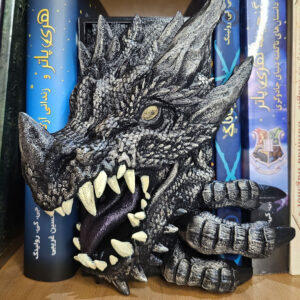 بوک نوک اژدها خشمگین رنگی