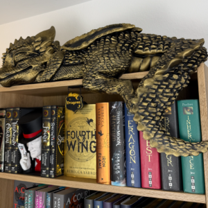 مجسمه اژدهای کوچولوی خوابیده روی قفسه