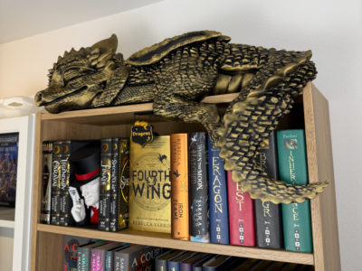 مجسمه اژدهای کوچولوی خوابیده روی قفسه